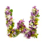 The letter «W» made of various natural small flowers.