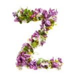 The letter «Z» made of various natural small flowers.